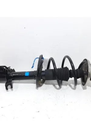 Precio Bajo AMORTIGUADOR DELANTERO DERECHO 543023022R